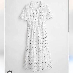 Alex Mill Flower Belted Shirt Dress
